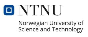 NTNU Logo